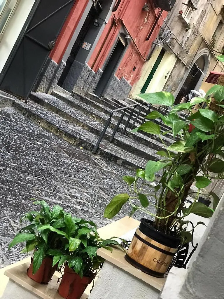 Apartment Casa Mari' Centro Storico Vicino Hotel Caracciolo Naples